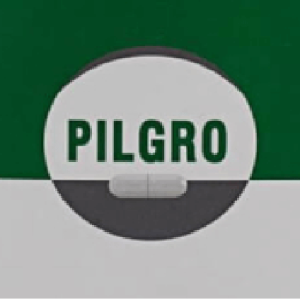 PILGRO